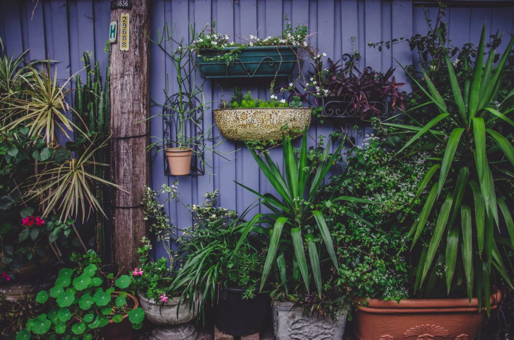Create a Beautiful Garden in a Small Space